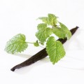 Dekang Vanilla Mint E-Liquid | E-Juice