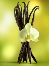 Dekang Vanilla E-Liquid | E-Juice