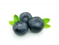 Dekang Blueberry E-Liquid | E-Juice