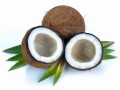 Dekang Coconut E-Liquid | E-Juice