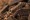 Dekang Chocolate E-Liquid | E-Juice