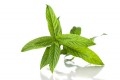 Dekang Spearmint E-Liquid | E-Juice